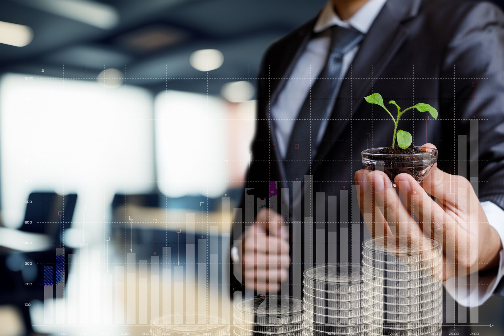 Sustainable growth investment strategies